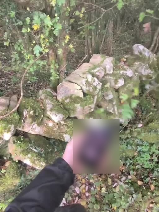 Stones visible among vegetation; their origin and relationship remain unverified.